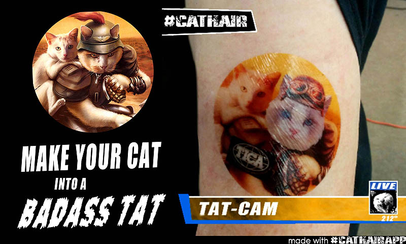 Cat tats from Cathair Apocalypse